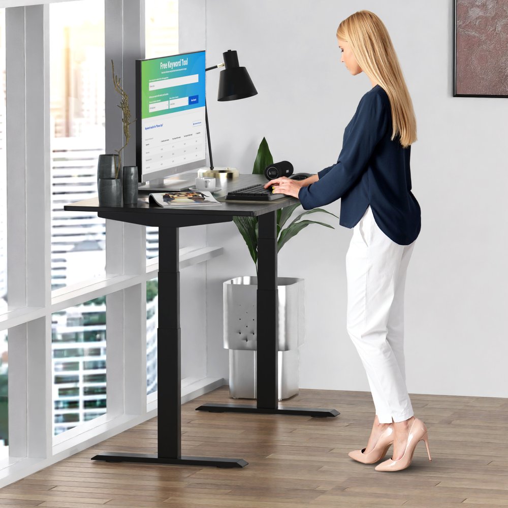 HomeRoots Black on Black 52" Bamboo Dual Motor Electric Office Adjustable Computer Desk