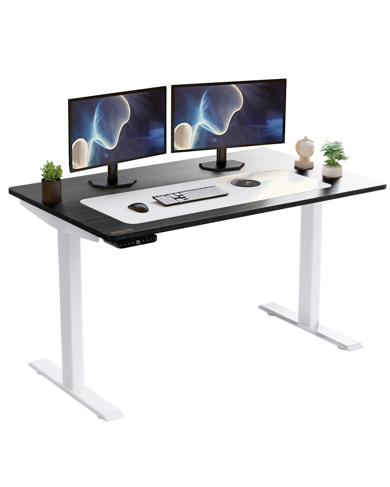 HomeRoots White and Black 52" Bamboo Dual Motor Electric Office Adjustable Computer Desk